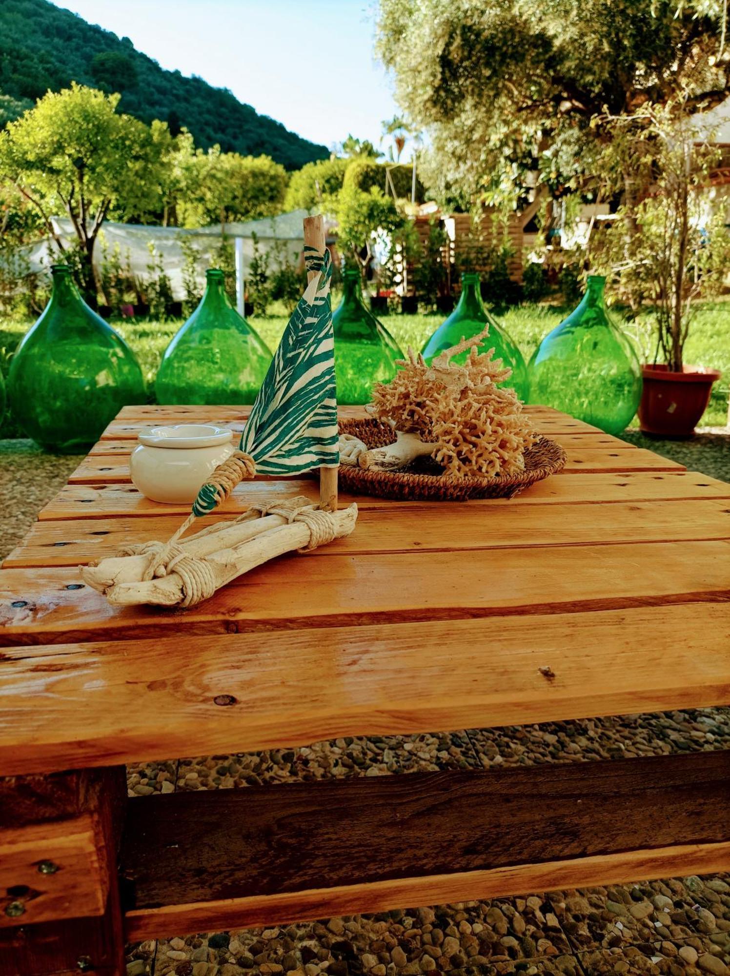 Laris Bed and Breakfast Castellabate Exteriör bild